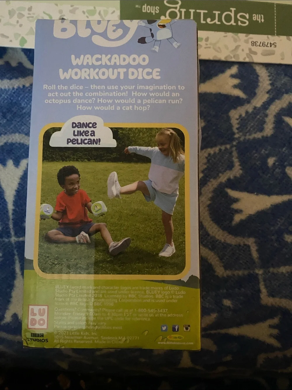 Wackadoo Workout Dice - Green & Blue